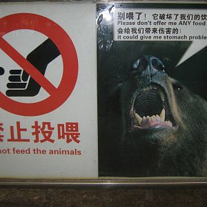 bear signage