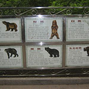 bear signage