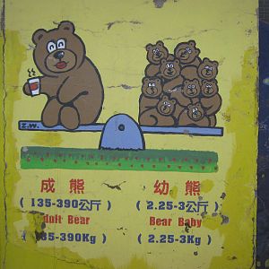bear signage
