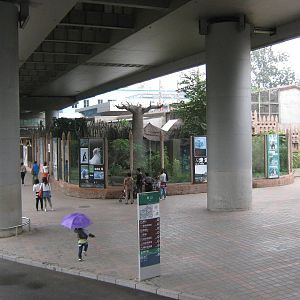 looking towards the cheetah enclosure