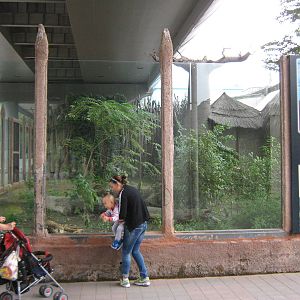 cheetah enclosure