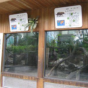 jaguar enclosure viewing windows