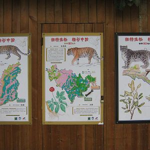 Big Cat signage