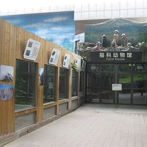 entrance to the Felid House