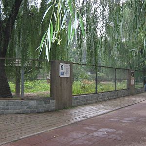 macropod enclosure in the Australian section