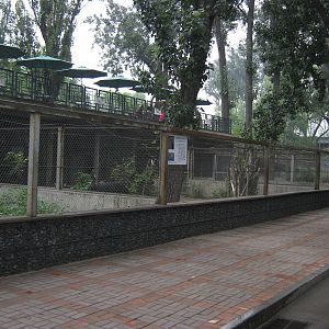 enclosures for common cassowaries