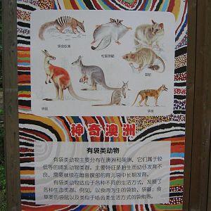 signage in the Australian section