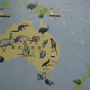 signage in the Australian section