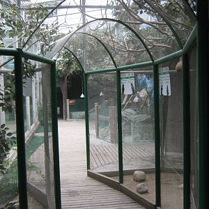 inside the Australian house