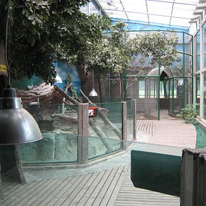 inside the Australian house