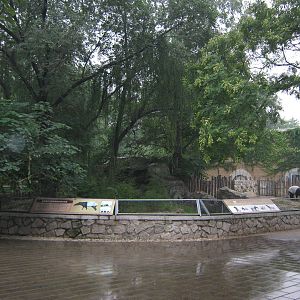 enclosure for Malayan tapirs