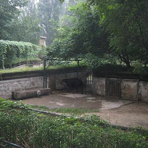 enclosure for Bairds tapirs