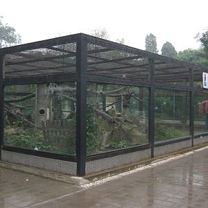 enclosure for coatis (Nasua nasua)