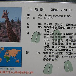 giraffe signage