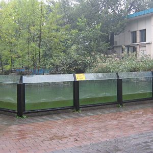 enclosure for Eurasian common otters (Lutra lutra)