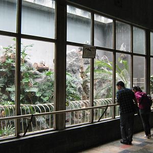 inside the Reptile House