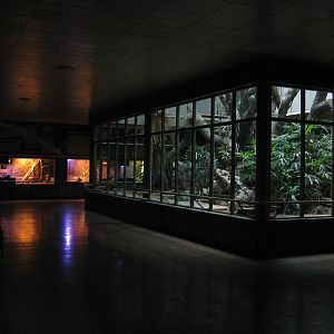 inside the Reptile House