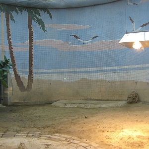 tortoise enclosure in Reptile House