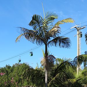 Discovery Outpost - Skyfari