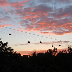 Discovery Outpost - Skyfari