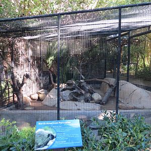 Discovery Outpost - Children's Zoo - North American Porcupine Exhibit