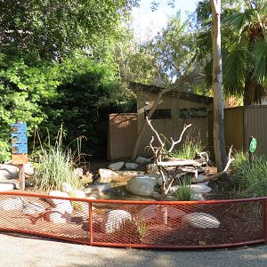 Discovery Outpost - Children's Zoo - Waterfowl Lagoon