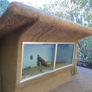 Discovery Outpost - Children's Zoo - Desert Tortoise Exhibit