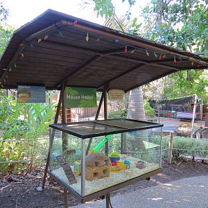 Discovery Outpost - Children's Zoo - Mouse House
