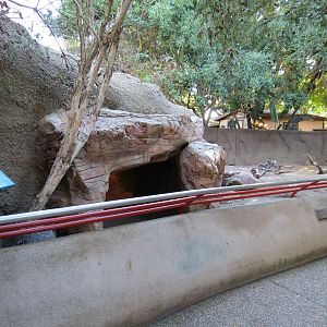 Discovery Outpost - Children's Zoo - Indian Crested Porcupine Exhibit