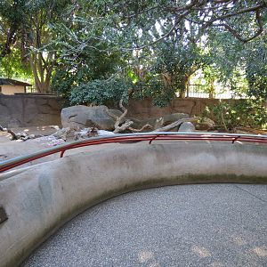 Discovery Outpost - Children's Zoo - Indian Crested Porcupine Exhibit