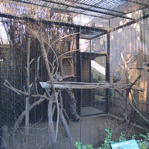 Discovery Outpost - Children's Zoo - Brazilian Tree Porcupine Exhibit