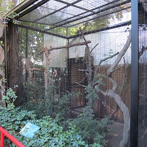 Discovery Outpost - Children's Zoo - Horned Owl Exhibit