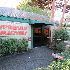 Discovery Outpost - Children's Zoo - Spineless Marvels - Exterior