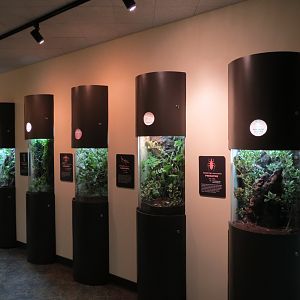 Discovery Outpost - Children's Zoo - Spineless Marvels - Interior