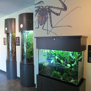 Discovery Outpost - Children's Zoo - Spineless Marvels - Interior