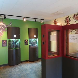 Discovery Outpost - Children's Zoo - Spineless Marvels - Interior