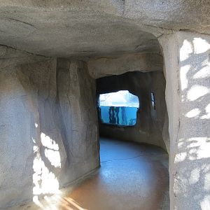 Discovery Outpost - Children's Zoo - Spotted-necked Otter Exhibit