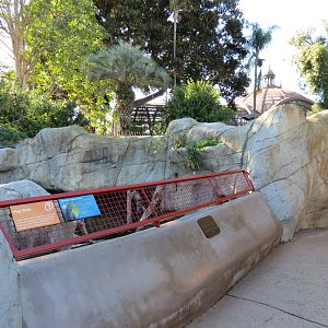 Discovery Outpost - Children's Zoo - Spotted-necked Otter Exhibit