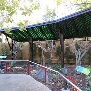 Discovery Outpost - Children's Zoo - Macaw Exhibit