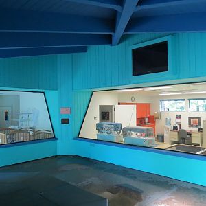 Discovery Outpost - Children's Zoo - Nursery