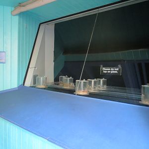 Discovery Outpost - Children's Zoo - Naked Mole Rat Exhibit