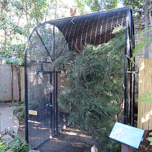 Discovery Outpost - Children's Zoo - Thick-billed Parrot Exhibit