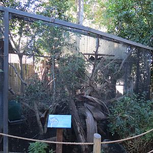Discovery Outpost - Children's Zoo - Ocelot Exhibit