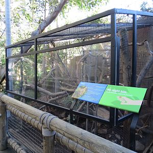 Discovery Outpost - Children's Zoo - Fossa Exhibit