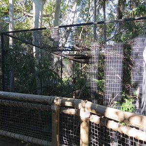 Discovery Outpost - Children's Zoo - Bird Exhibit