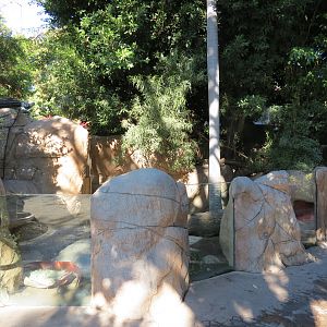 Discovery Outpost - Children's Zoo - Southwest African Meerkat Exhibit