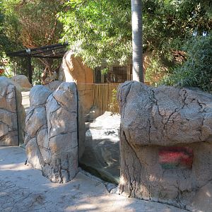 Discovery Outpost - Children's Zoo - Southwest African Meerkat Exhibit