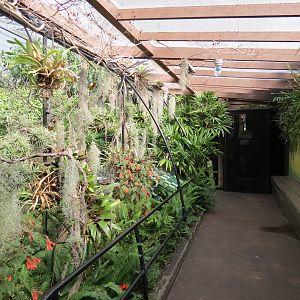 Discovery Outpost - Hummingbird Aviary