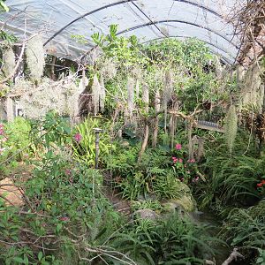 Discovery Outpost - Hummingbird Aviary