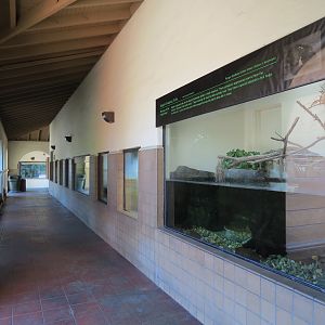 Discovery Outpost - Reptile House - Viewing Arcade